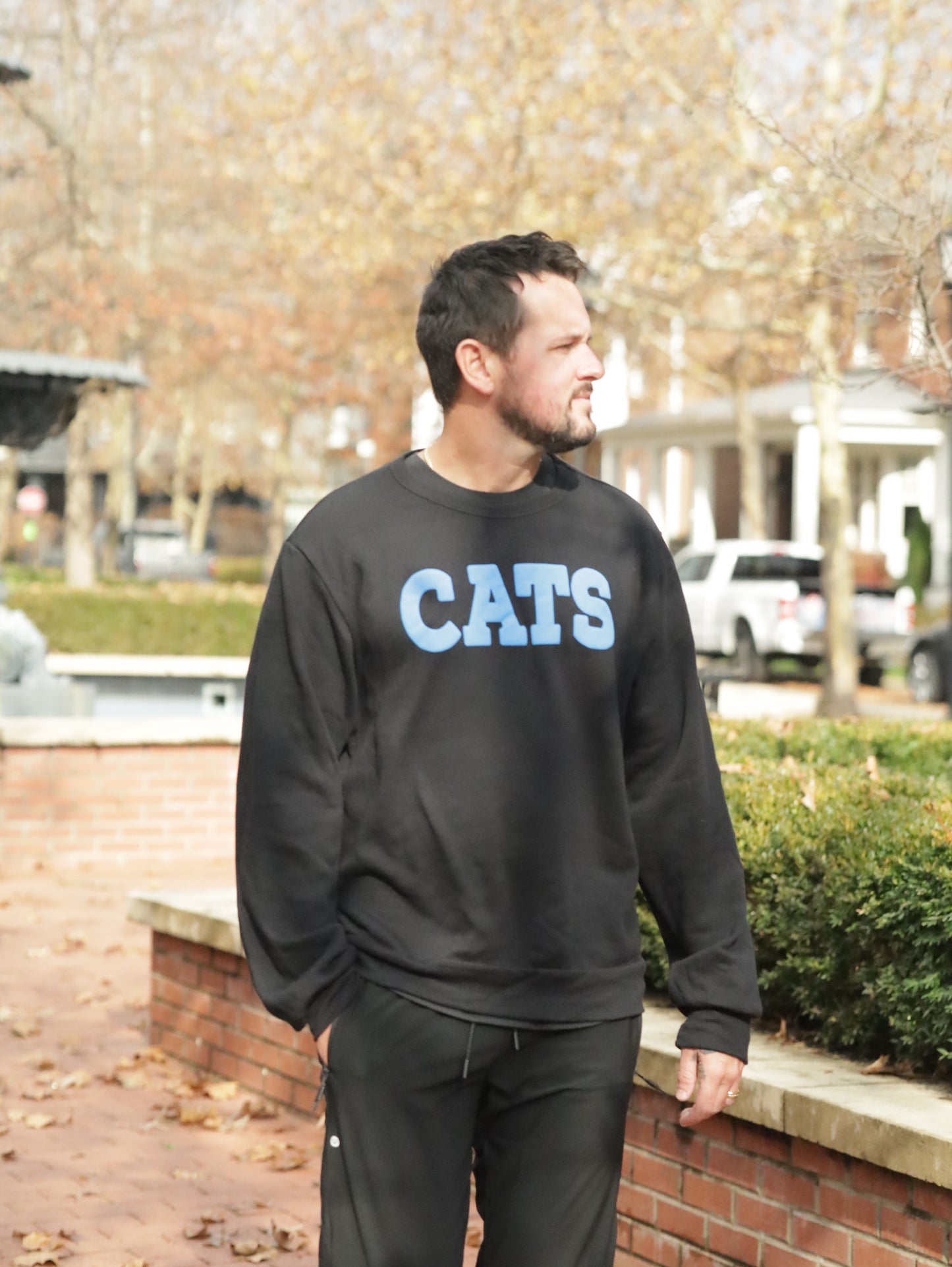 Cards & Cats | Oversized Crewneck